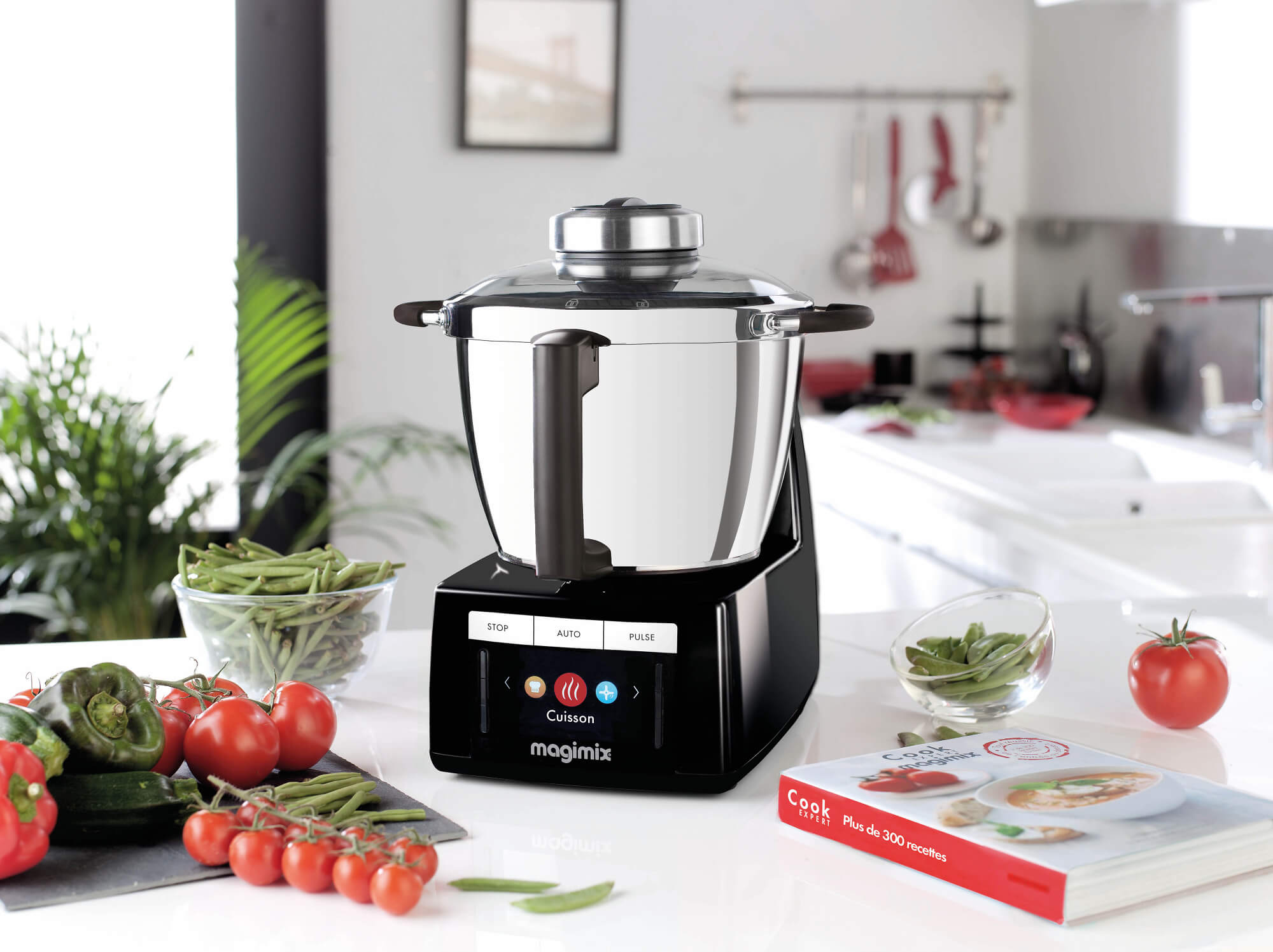 Entsafter Extra Press XL COOK EXPERT Magimix